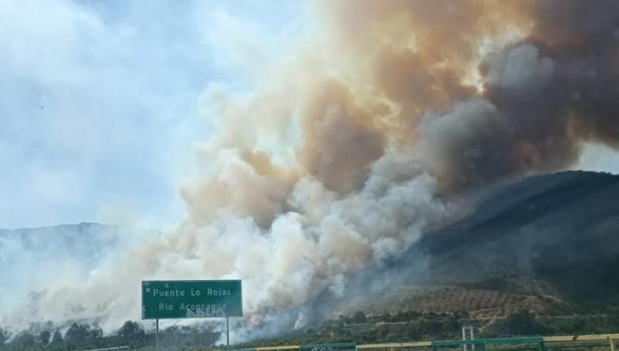 Declaran Alerta Roja para la comuna de La Cruz por incendio forestal en sector de Lo Rojas
