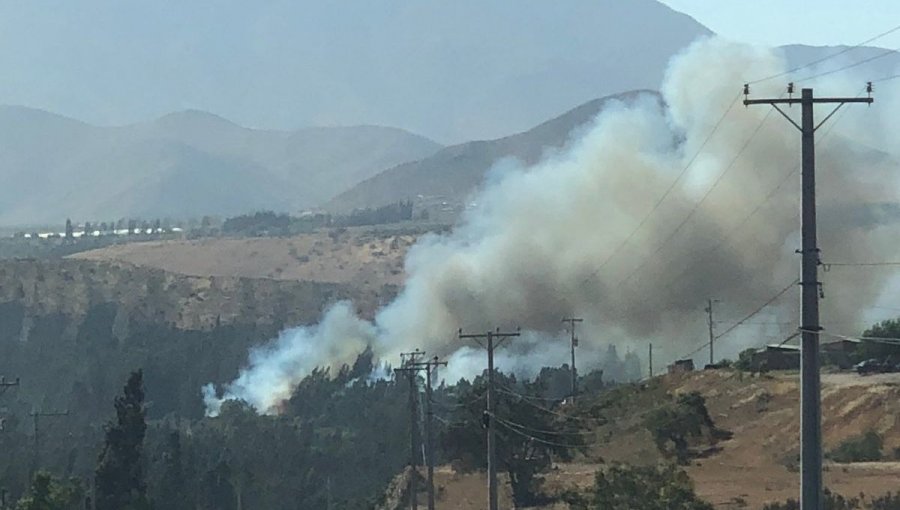 Declaran Alerta Roja para la comuna de Ovalle por incendio forestal cercano a sectores habitados