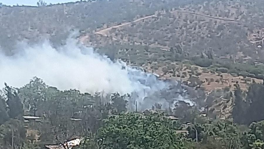 Incendio forestal afecta a un costado del cementerio en Limache: siniestro se desarrolla cercano a viviendas