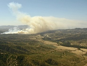 Dos incendios forestales se mantienen activos en la región de Valparaíso: emergencias en Quilpué y La Cruz han consumido 320 hectáreas