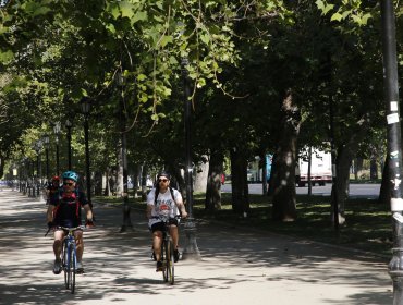 Construcción de la nueva Línea 7 del Metro de Santiago no intervendrá el parque Forestal