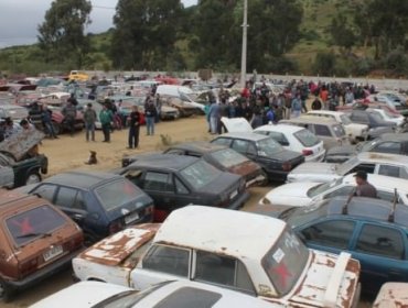 430 vehículos serán rematados para despejar parqueadero municipal de Viña del Mar