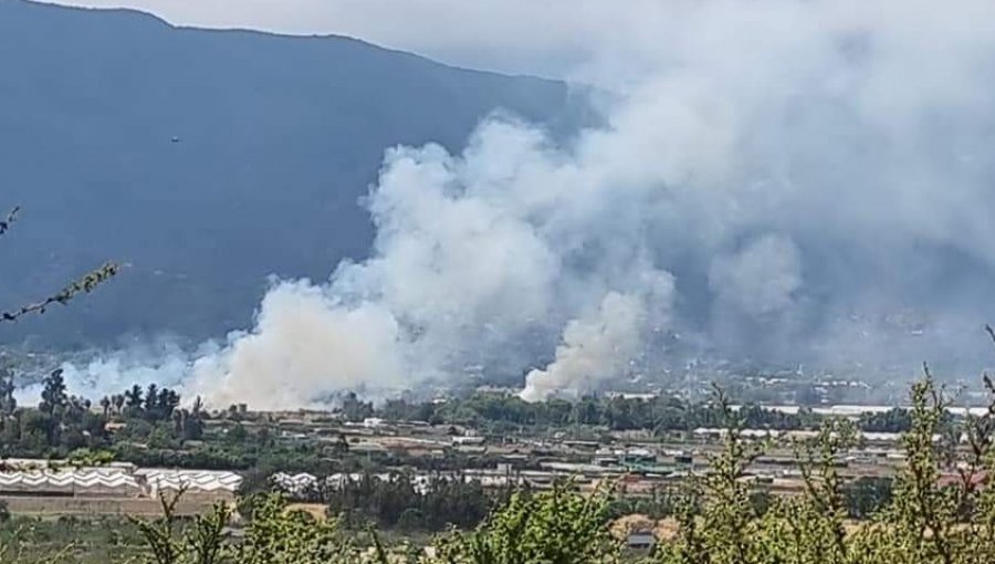 Incendio forestal consumió más de 3 hectáreas en Olmué: Cuesta La Dormida fue cerrada temporalmente