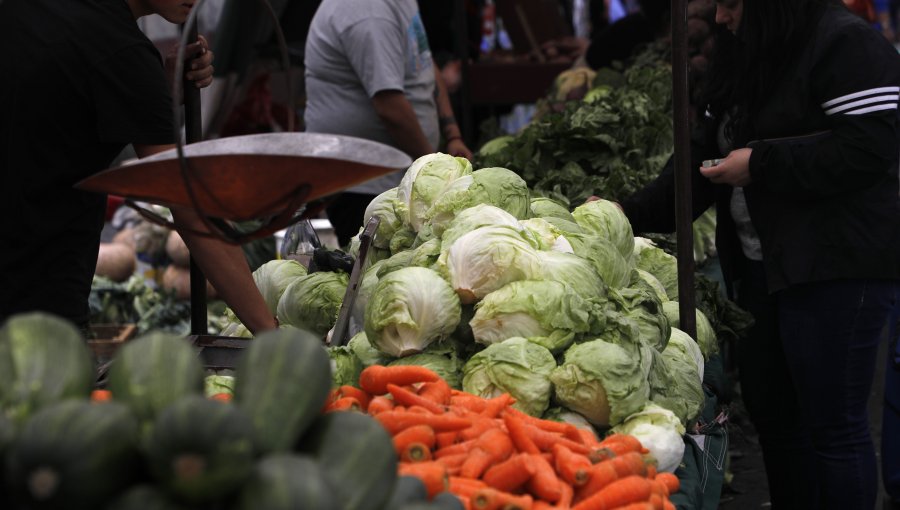 Gobierno convoca a Comité de Seguridad Alimentaria para abordar problemáticas tras paro de camioneros