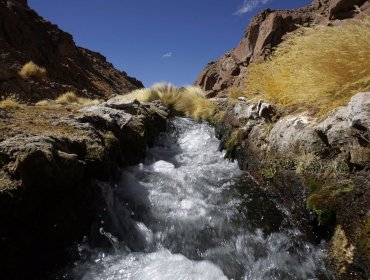 Corte de La Haya dará a conocer el fallo sobre la disputa entre Chile y Bolivia por las aguas del río Silala