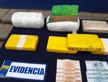 Desbaratan banda criminal e incautan 10 kilos de clorhirato de cocaína y dos kilos de cannabis en La Ligua