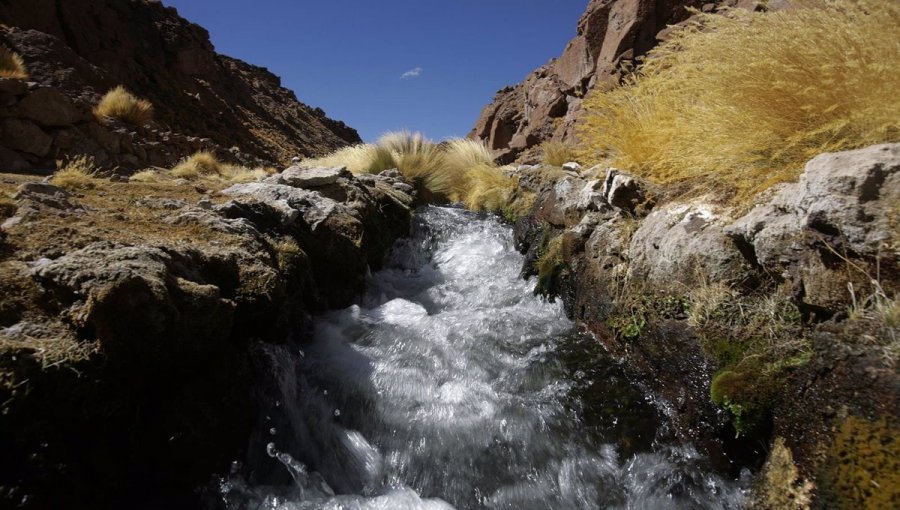 Corte de La Haya dará a conocer el fallo sobre la disputa entre Chile y Bolivia por las aguas del río Silala