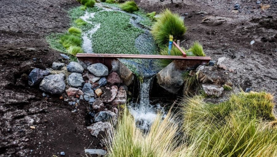 "No habrá compensación": Las reacciones bolivianas ante el fallo de La Haya sobre el uso de las aguas del río Silala