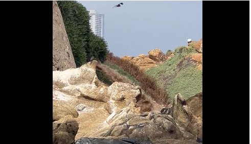 ¿Contaminación o rotura de matriz?: Cauce de agua turbia cae a Playa Amarilla en Concón