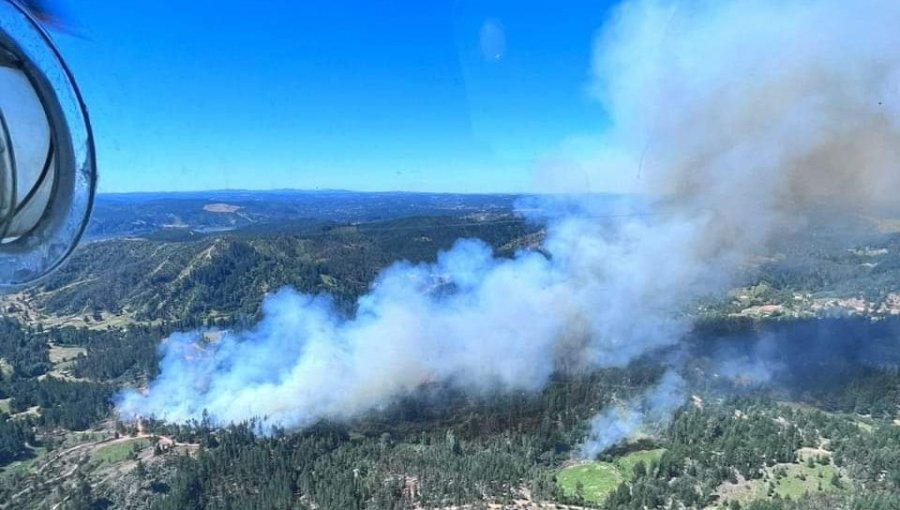 Declaran Alerta Roja para Santa Juana por incendio forestal: al menos 15 hectáreas han sido consumidas