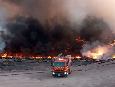 Incendio aparentemente intencional afectó al relleno sanitario La Hormiga de San Felipe: emergencia fue controlada