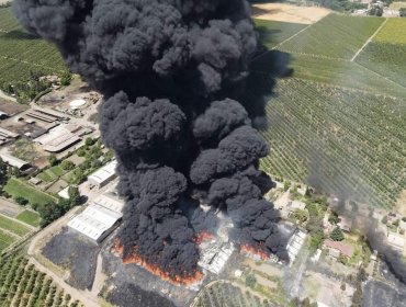 Gigantesco incendio afecta a packing y dos frigoríficos en el sector de Tinguiririca en Chimbarongo