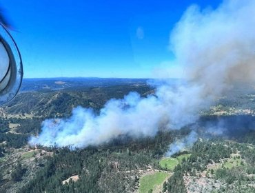 Declaran Alerta Roja para Santa Juana por incendio forestal: al menos 15 hectáreas han sido consumidas