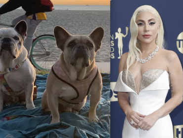 Hombre que robó perros de Lady Gaga es condenado a 21 años de prisión