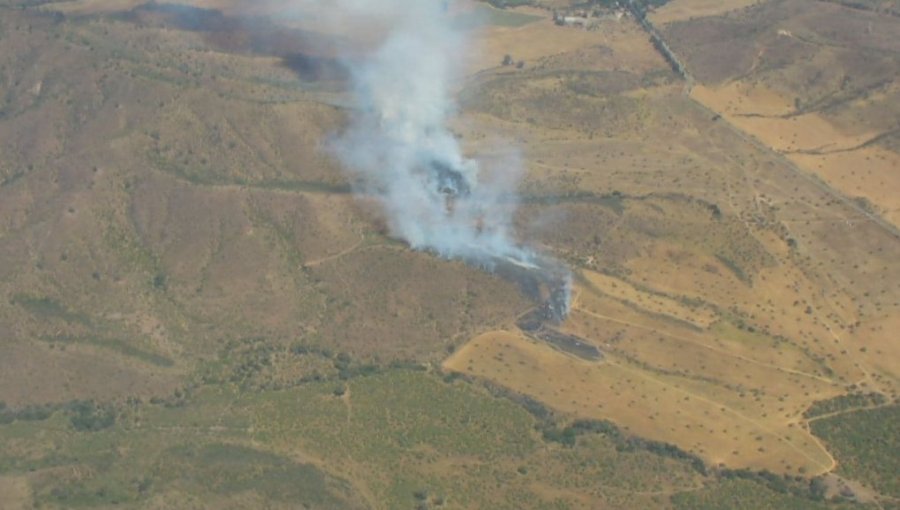 Decretan Alerta Amarilla para la comuna de Cartagena por incendio forestal que ya ha consumido 20 hectáreas