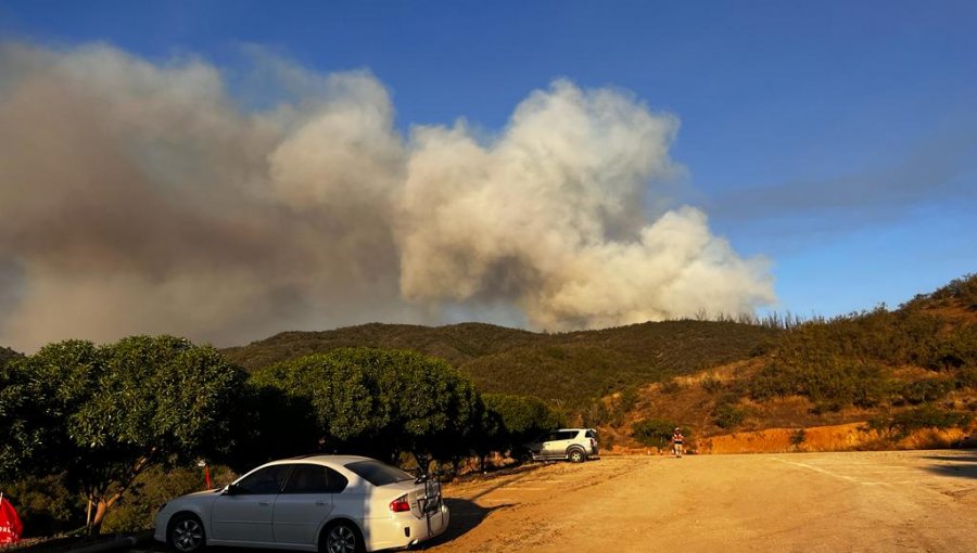 Tres viviendas afectadas y animales muertos por incendio forestal en Quilpué: al menos 100 hectáreas consumidas