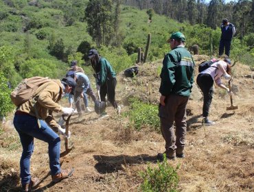 Refuerzan operativos para prevenir incendios forestales en la región de Valparaíso