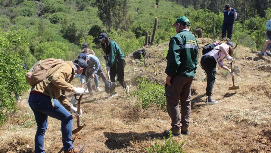 Refuerzan operativos para prevenir incendios forestales en la región de Valparaíso