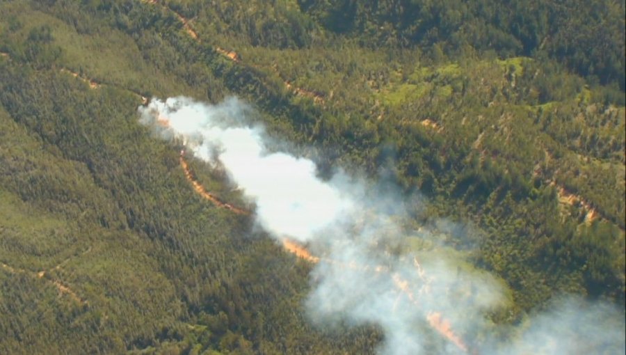 Declaran Alerta Roja para Valparaíso por incendio forestal que amenaza a infraestructura crítica