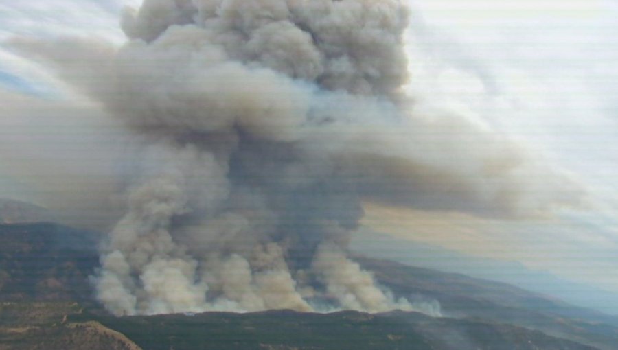Onemi solicitó la evacuación de los sectores de La Mina y Lagunillas en Santa Cruz por incendio forestal