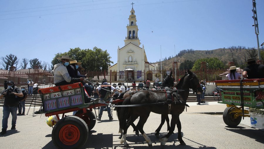 Un caballo murió en las inmediaciones del Santuario de Lo Vásquez: anuncian querella criminal por maltrato animal