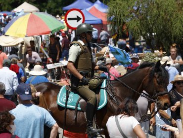 Municipio de Casablanca anunció querella por muerte de yegua en Lo Vásquez