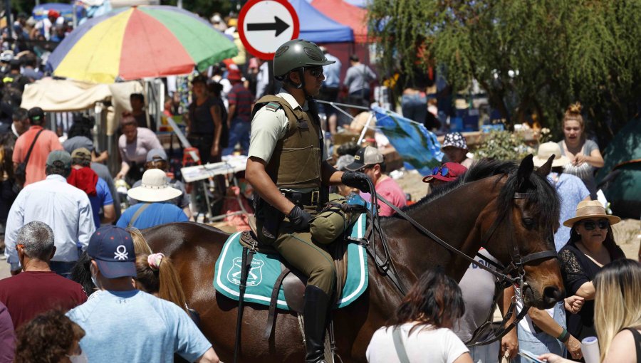 Municipio de Casablanca anunció querella por muerte de yegua en Lo Vásquez