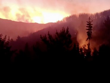 Detienen a sujeto acusado de iniciar incendio forestal que ha consumido más de 40 hectáreas en Pencahue