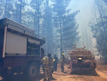 Alerta Roja en Valparaíso: se mantiene el combate a incendio forestal en la Reserva Nacional Lago Peñuelas