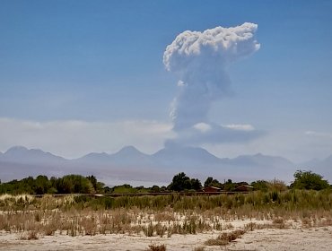 Volcán Láscar presenta pulso eruptivo y moviliza a las autoridades de la región de Antofagasta