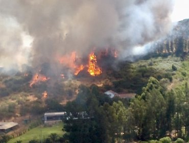 Incendio forestal totalmente descontrolado amenaza a una veintena de casas en Quillota: declararon Alerta Roja