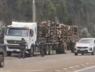 Conductor de camión fue detenido por transportar madera robada en Angol