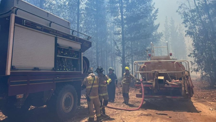Alerta Roja en Valparaíso: se mantiene el combate a incendio forestal en la Reserva Nacional Lago Peñuelas