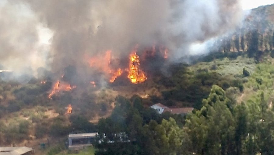 Incendio forestal totalmente descontrolado amenaza a una veintena de casas en Quillota: declararon Alerta Roja