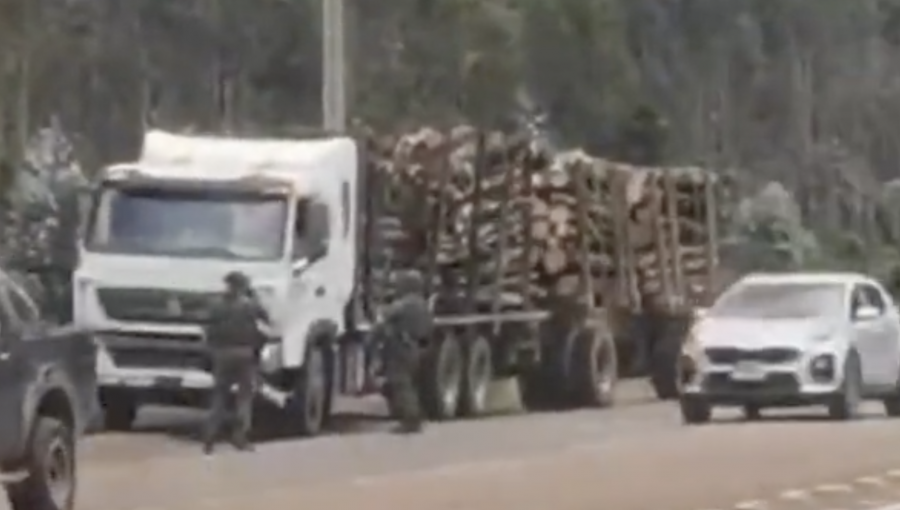 Conductor de camión fue detenido por transportar madera robada en Angol