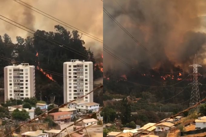 Incendio en Jardín Botánico en Viña del Mar se encuentra descontrolado y con peligro de consumir viviendas y sede de Universidad
