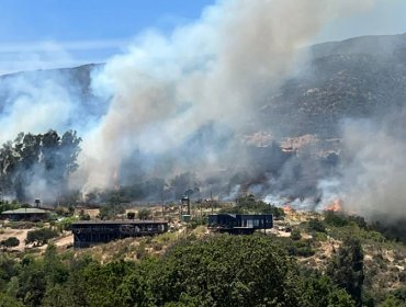 Altas temperaturas ponen en alerta a equipos de emergencia: Incendios en Casablanca, Jardín Botánico y Punte Colmo amenazan viviendas