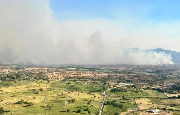 Debido a la nula visibilidad: Incendio forestal en Melipilla obligó a realizar corte de tránsito en la ruta 78