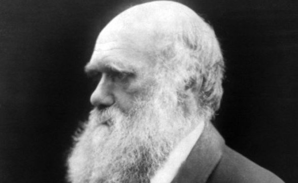 Qué dice el inédito manuscrito firmado por Charles Darwin que acaba de ser subastado por un precio récord