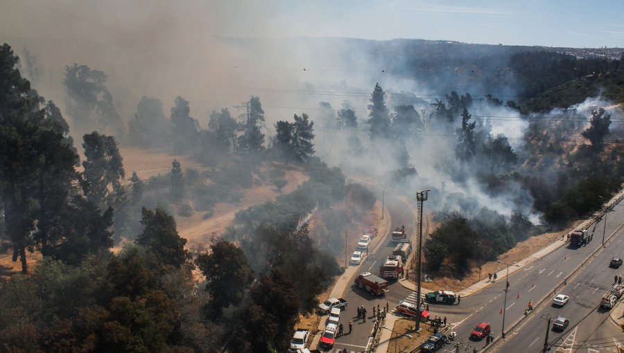 120 hectáreas ha consumido incendio forestal en el Jardín Botánico de Viña del Mar: Troncal Urbano fue habilitado en ambos sentidos