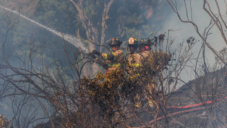 Presidente Boric por incendios forestales: "Nuestra preocupación principal está en la seguridad de las personas afectadas"