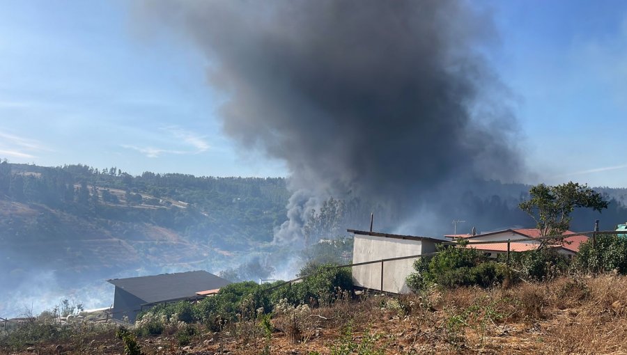 Cinco viviendas consumidas, cuatro con daño menor y un galpón destruido deja incendio forestal entre Quintero y Quillota
