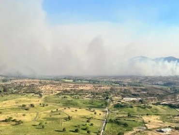 Debido a la nula visibilidad: Incendio forestal en Melipilla obligó a realizar corte de tránsito en la ruta 78