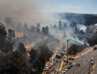 120 hectáreas ha consumido incendio forestal en el Jardín Botánico de Viña del Mar: Troncal Urbano fue habilitado en ambos sentidos