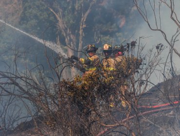 Presidente Boric por incendios forestales: "Nuestra preocupación principal está en la seguridad de las personas afectadas"