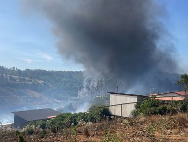 Cinco viviendas consumidas, cuatro con daño menor y un galpón destruido deja incendio forestal entre Quintero y Quillota