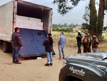 Camión transportaba más de 5 toneladas de congrio dorado y merluza austral sin acreditación legal en Algarrobo: carga fue donada