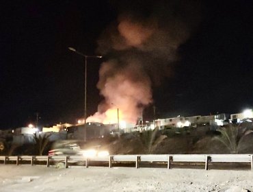 Incendio destruyó seis casas de material ligero en tomas del cerro Chuño de Arica: sujetos agredieron a bomberos