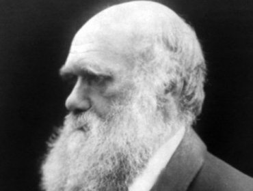 Qué dice el inédito manuscrito firmado por Charles Darwin que acaba de ser subastado por un precio récord