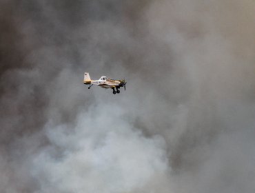 Cancelan la Alerta Roja y declaran Alerta Amarilla para la comuna de Quintero: incendio forestal se encuentra controlado